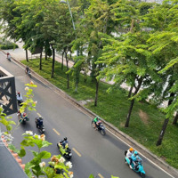 Cho Thuê Nnc Mặt Tiền Trường Sa P15 Bình Thạnh