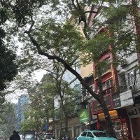 Bán Nhà Mặt Phố Hàn Thuyên Cực Đẹp, 291M2, Mặt Tiền 12M Siêu Khủng Chỉ 135 Tỷ