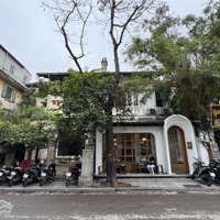 Bán Nhà Mặt Phố Hàn Thuyên Cực Đẹp, 291M2, Mặt Tiền 12M Siêu Khủng Chỉ 135 Tỷ