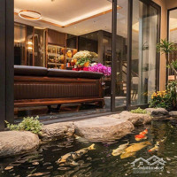 Nơi Hòa Quyện Giữa Thiên Nhiên Và Sang Trọng Chỉ Với Hơn 12 Tỉ Sở Hữu Biệt Thự Sân Vườn 90M