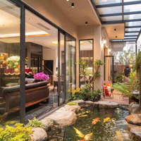 Nơi Hòa Quyện Giữa Thiên Nhiên Và Sang Trọng Chỉ Với Hơn 12 Tỉ Sở Hữu Biệt Thự Sân Vườn 90M