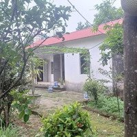 Trần Phú - Chương Mỹ - Lô Góc 3 Mặt Thoáng,Mặt Tiền45M,Diện Tích592M, C4, Giá Nhỉnh 3Tỷ