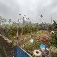 Chính Chủ Bán Đất Thổ Cư. Thôn 1 Lê Hồng Phong ( Xã Kiền Bái- Thủy Nguyên-Hải Phòng )