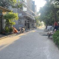 An cư lạc nghiệp tại Trâu Quỳ: 78,5m2 đất, ô tô tránh, dân trí cao, tiện ích đầy đủ!