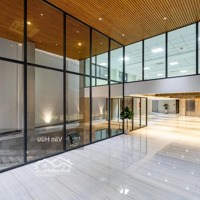 Bán Tòa Nhà Mặt Tiền Lâm Văn Bền, Quận 7 - Dt: 8X50M - Hầm 8 Tầng - Hđt: 500 Triệu - Giá Bán: 65 Tỷ