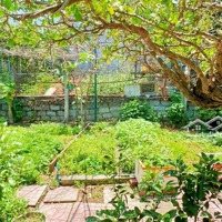 [ 323M² Mini Nhà Vườn - Gần Biển Phạm Văn Đồng ] * Ngang 16M * Giá Bán 12 Tỷ