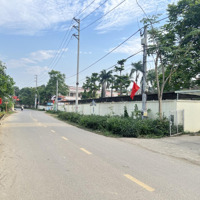 Bán Đất Tỉnh Lộ 446, 446M2, Trục Kinh Doanh Đối Diện Trường Học. Chính Chủ Giá Siêu Hời