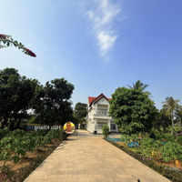 Bán Nhà Riêng 29 Tỷ, 4482M2 Tc 300M Ở Sát Quốc Lộ 51B, Long Phước, Long Thành Đồng Nai Đẹp Xuất Sắc