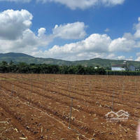 Siêu Phẩm 1024M2 Đất Xã Liên Hiệp, Tỉnh Lâm Đồng,Diện Tích13X78M, Có 100M2 Tc, Đường 5M Giá Chỉ 3.2 Tỷ
