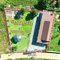 Có Việc Nên Bán Gấp Căn Nhà Vườn Xây Sẵn 2 Phòng Ngủnở Hậu Diện Tích 619,1M2 Nằm Tại Đường Tôn Thât Thuyết