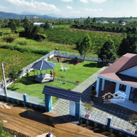 Có Việc Nên Bán Gấp Căn Nhà Vườn Xây Sẵn 2 Phòng Ngủnở Hậu Diện Tích 619,1M2 Nằm Tại Đường Tôn Thât Thuyết