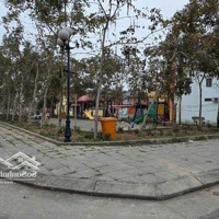 Nguyên Khê Đông Anh View Vườn Hoa Sát Đường Lê Hữu Tựu, Võ Nguyên Giáp Gần Kđt Nguyên Khê