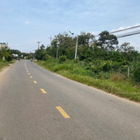 Bán Đất Tại Xã Tân Lạc, Bảo Lâm, Lâm Đồng, 1,65 Tỷ, 118M2