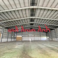 Cho Thuê Xưởng 1900M2 Pccc Vách Tường Đường Xe Cont Giá 110Tt/Tháng