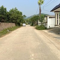 Cần Bán 738M2, Tc 120M2, Tại Xã Đồng Trung Thanh Thuỷ, Phú Thọ