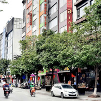 Bán Nhà Trần Thái Tông - Siêu Phẩm Lô Góc T1 Là Quán Cafe Siêu Đông Khách, Trên Là Vp Giá Bán 31 Tỷ