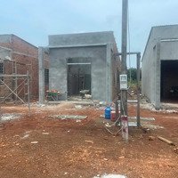 Đất Liền Kề Khu Tái Định Cư Thiện Hưng , Diện Tích 300M2 , Giá F0 Chỉ 2Xx Triệu , Shr , Lh Em Ngay