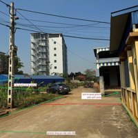Do Có Việc Làm Ăn Cần Vốn, Anh Mình Quyết Định Bán Đi Mảnh Đất Tâm Huyết Tại Khu Cnc Hòa Lạc.
