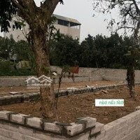 Do Có Việc Làm Ăn Cần Vốn, Anh Mình Quyết Định Bán Đi Mảnh Đất Tâm Huyết Tại Khu Cnc Hòa Lạc.