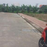 Siêu phẩm lô góc 132m2 Anh Dũng, Dương Kinh, Hải Phòng.