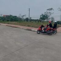 Siêu phẩm lô góc 132m2 Anh Dũng, Dương Kinh, Hải Phòng.