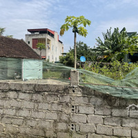 Bán Đất 500M2 Tại Xã Hà Long, Hà Trung, Thanh Hóa, Giá Tốt 1,8 Tỷ