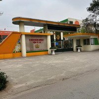 Chính Chủ Cần Bán Mảnh Đất Trung Tâm Tứ Hiệp Thanh Trì Thông Số Đẹp