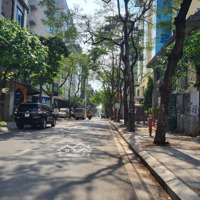 Tòa Văn Phòng Đẹp Nhất Cầu Giấy, 2 Mặt Thoáng Trước Sau, 200M2, Giá Bán: Thỏa Thuận