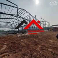 Cho Thuê Nhà Xưởng 45,000m² Tại Phú Giáo, Bình Dương – Giá Chỉ 2.3 USD/m². Liên hệ: Chothuexuongmiennam.com - 0366632092