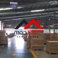 Cho Thuê Xưởng 4.640m² Tại Tân Uyên, Bình Dương – Pháp Lý Đầy Đủ, PCCC Nghiệm Thu. Liên hệ: Chothuexuongmiennam.com - 0366632092