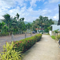 Bán 3 Lô Diên Toàn Giá Rẻ Nhất Thị Trường Sát Đường Võ Nguyên Giáp Và Bến Xe Phía Nam Nha Trang