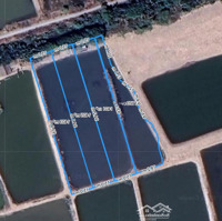 Bán Gấp Đất Nền 5400M2 Tại Lý Nhơn, Cần Giờ, 16,2 Tỷ
