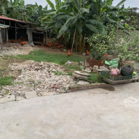 Chính Chủ Bán Đất Câu Hạ A, Quang Trung An Lão Diện Tích Vuông Vắn, Các Dự Án Xung Quanh.