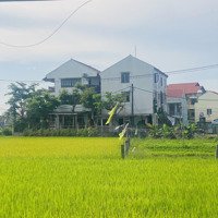 Bán Lô Đất 248,5M2 View Lúa Trực Diện Phường Cẩm Châu Hội An Hàng Cực Hiếm