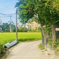 Bán Lô Đất 248,5M2 View Lúa Trực Diện Phường Cẩm Châu Hội An Hàng Cực Hiếm