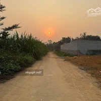 372 M2 View Sát Cánh Đồng, Vuông Như Bánh Chưng Tại Yên Bài, Ba Vì Giá Chỉ 2,X Tỷ
