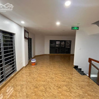 Cho Thuê Nhà Ngõ Lạc Trung, Ô Tô, Thang Máy. Diện Tích 67M2 X 7,5 Tầng. Mặt Tiền 5M. Giá Bán 50 Triệu.