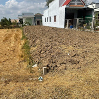 Đất Mtd Phước Toàn, Long Hiệp, Bến Lức. Cách Chợ Gò Đen 1Km, Sát Ql1A. 145M2/ 340 Triệu. Shr, Full Thổ