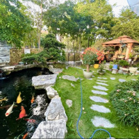 Cập Nhật Các Căn Biệt Thự Vườn Đào. Lô Góc, Mặt Đường Lớn ! Giá Tốt Nhất Thị Trường !