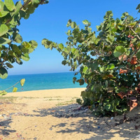 Trực Diện Biển Hoài Hải Hoài Nhơn Bình Định Diện Tích Hơn 300 Sổ Thổ Cư