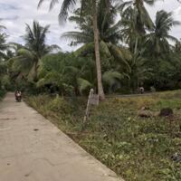 Bán đất 675m², 100m² thổ cư, vị trí đẹp, giá chỉ 1.45 tỷ - Liên hệ ngay!