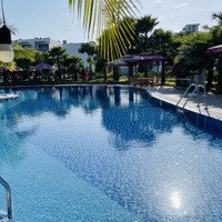 Rẻ Nhất Thị Trường Gói 8 The Capella Mỹ Gia - Nhà 3 Tầng Cạnh Hồ Bơi Đường 15M Chỉ 4Tỷ950