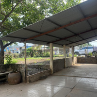 Bán Đất Mặt Tiền Đường Lớn Ra Sân Bay Long Thành