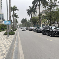 Chính Chủ Bán Biệt Thự Vườn Đào - Nhìn Trực Diện Sang Lotte ! Diện Tích 270M2 -Mặt Tiền15M