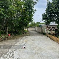 Cắt Lỗ Sâu. Chỉ Hơn 2.5 Tỷ Sở Hữu 72.3M2 Full Thổ Tại Hạ Bằng, Hoà Lạc. Cam Kết Rẻ Nhất Thị Trường