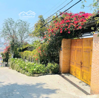 Hạ Gấp Thêm 5 Tỷ Bán Villa Triệu Việt Vương Cách Chợ Đêm Đà Lạt 2Km - Đường Ô Tô Thoải Mái