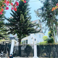 Hạ Gấp Thêm 5 Tỷ Bán Villa Triệu Việt Vương Cách Chợ Đêm Đà Lạt 2Km - Đường Ô Tô Thoải Mái