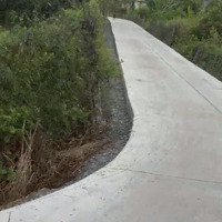 Bán Đất 2218M2 Có 300M2 Thổ, Mặt Tiền Đường Tịnh Đức, Xã Hưng Long, Bình Chánh. Liên Hệ: 0907063739