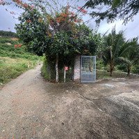 Chỉ 1,8 Triệu/M² Sở Hữu Ngay 3.000M² Không Gian Sống Xanh Tại Phước Đồng Nha Trang. Gần Tĩnh Lộ 3
