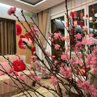 Cho Thuê Căn Hộ 70M2, 2 Phòng Ngủ2Vs, Full Nội Thất, Chung Cư Kdt Nghĩa Đô - 106 Hoàng Quốc Việt. 11,5 Tr